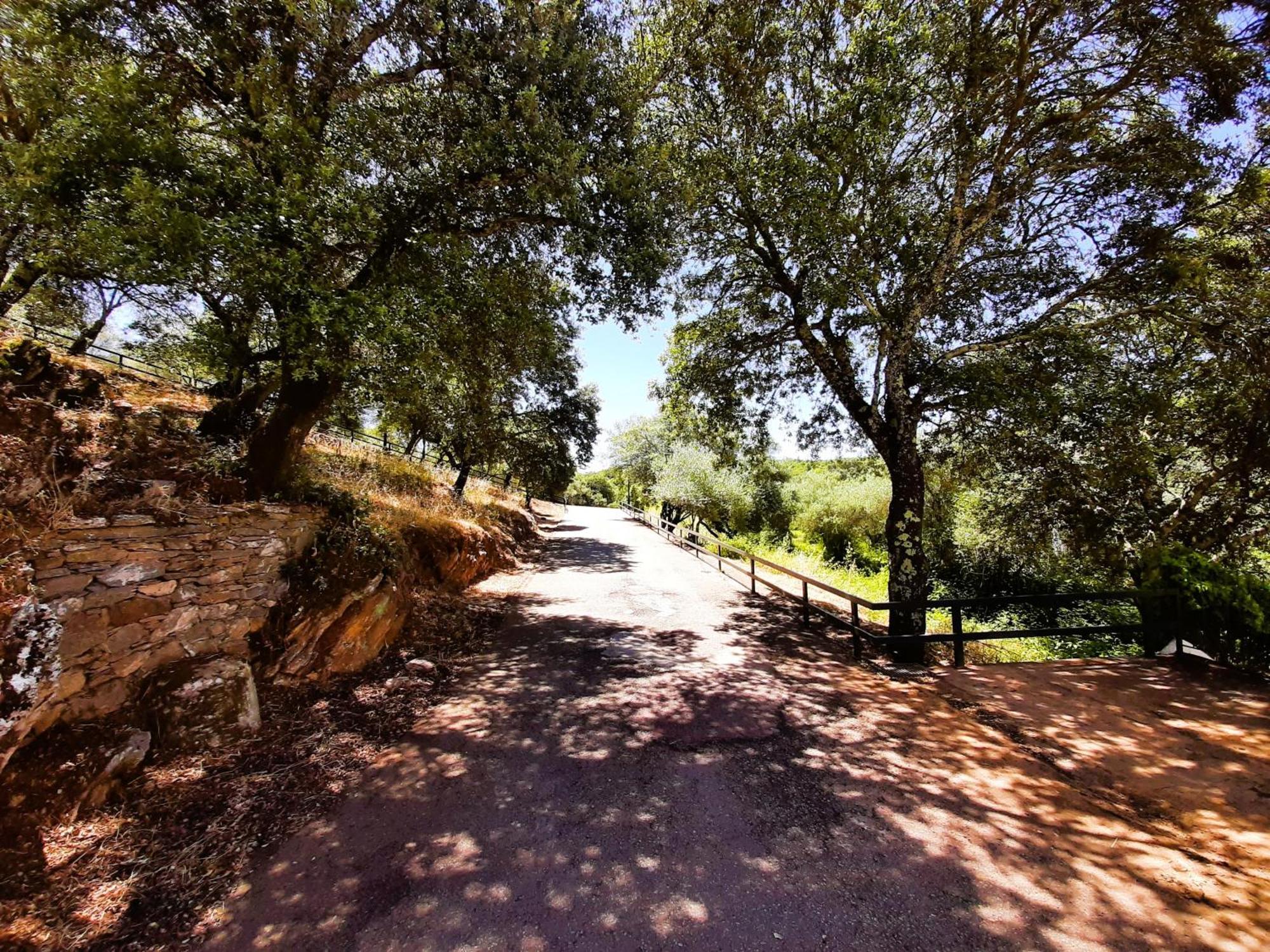 Casa Rural Gurumelo Aracena Ngoại thất bức ảnh